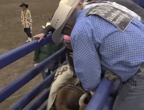 Phoenix Rodeo 2024