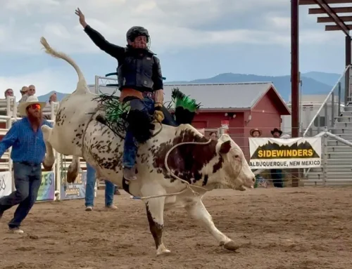Phoenix Rodeo 2024