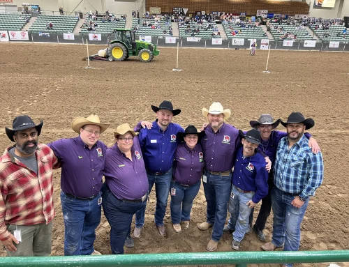 Phoenix Rodeo 2024